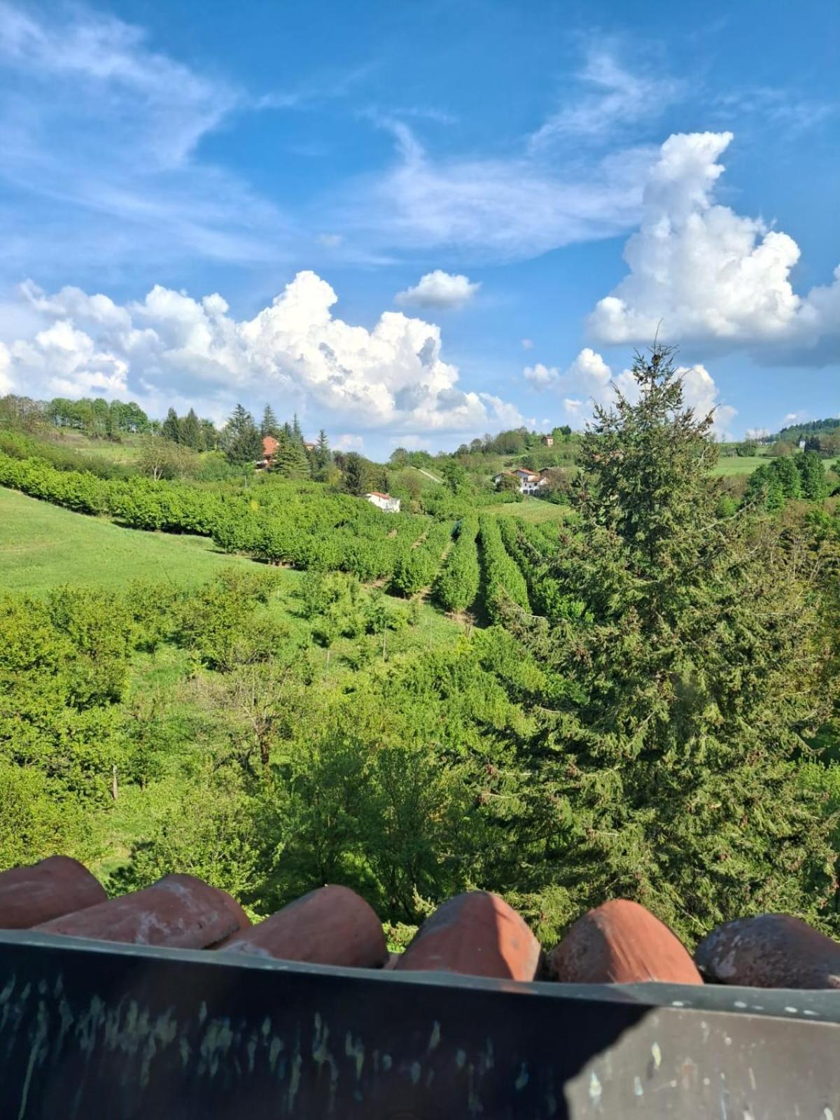 דירות Mondovì Cascina Bringin מראה חיצוני תמונה
