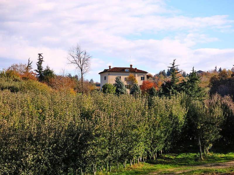 דירות Mondovì Cascina Bringin מראה חיצוני תמונה